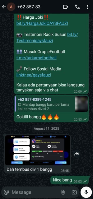 Testimoni customer Joki